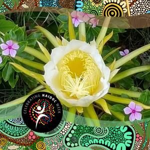 Meet your Posher, Margaret